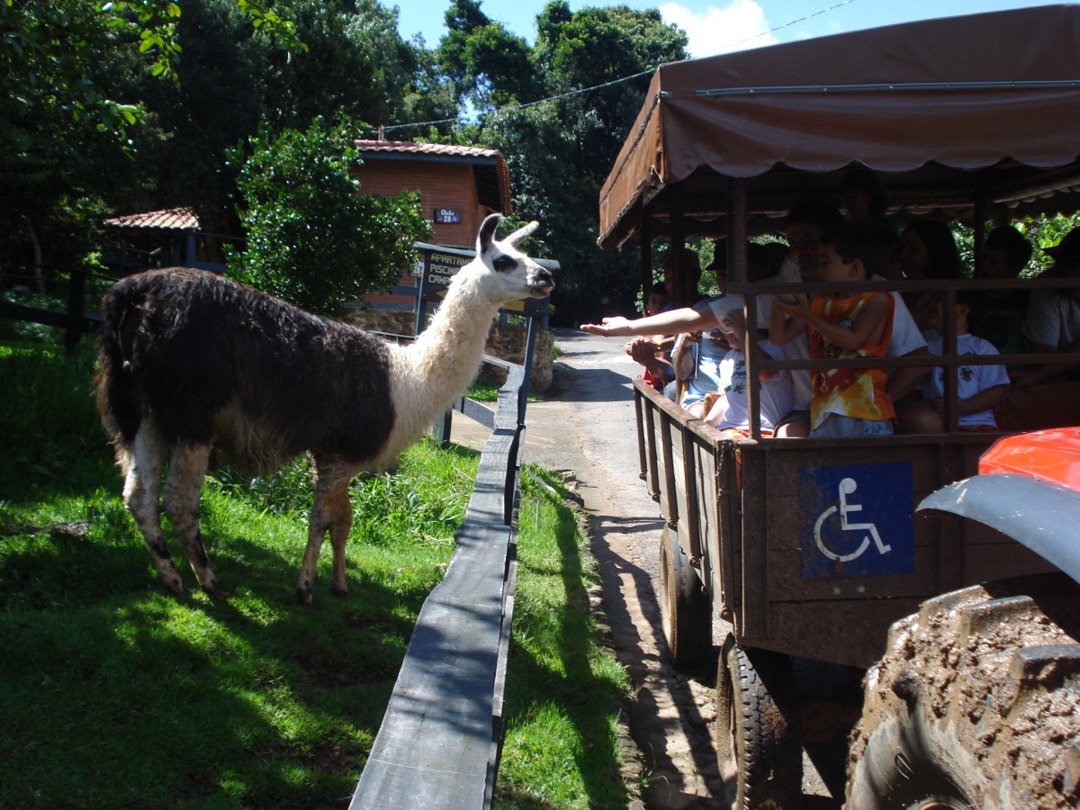 No passeio de trator você vai poder se Interagir com os animais, e ver belas paisagens que a região oferece, devido ao fato de que essa região pertence a serra da mantiqueira.