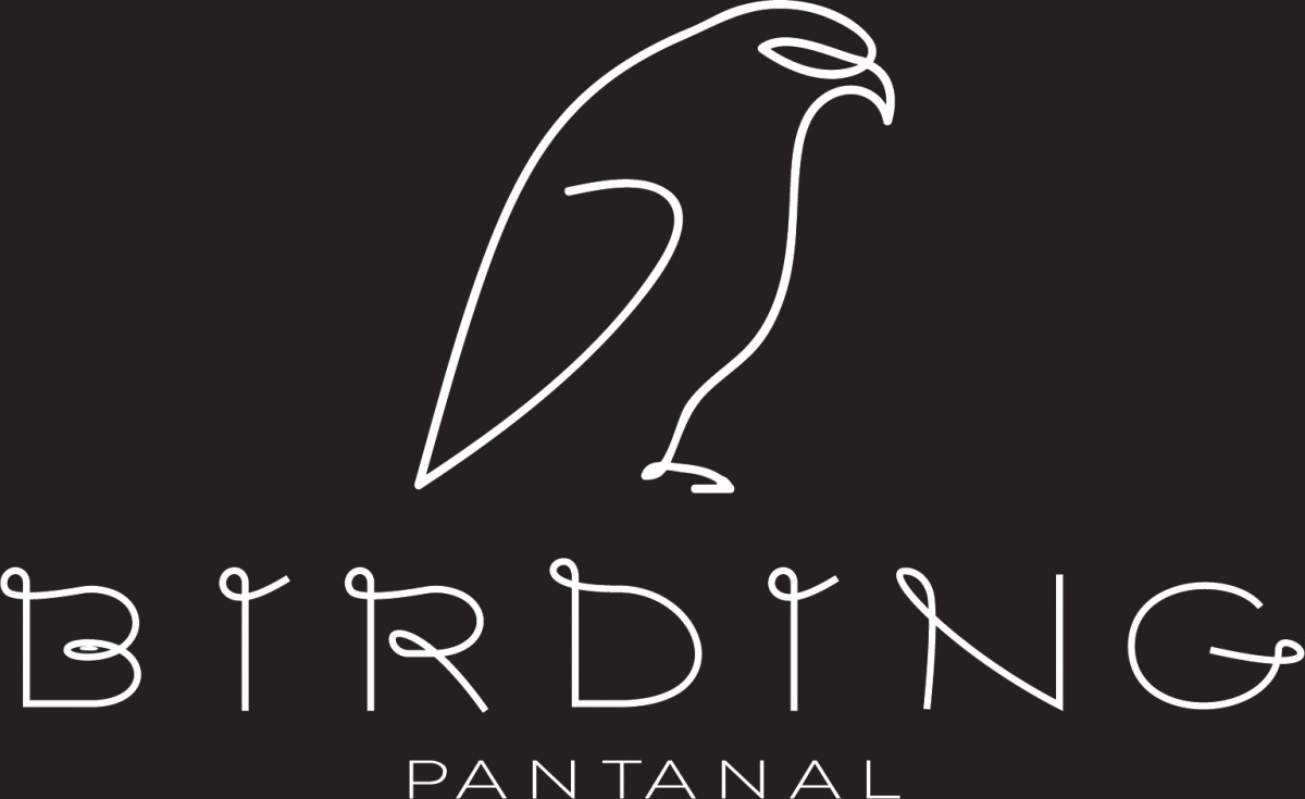 Birding Pantanal