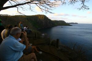 observação de aves em Fernando de Noronha