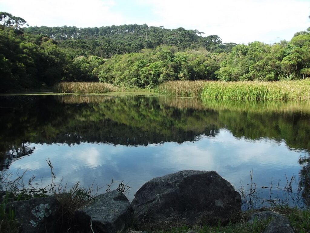 Polo de Ecoturismo da Cantareira