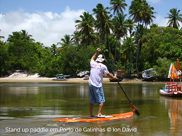 Stand Up Paddle