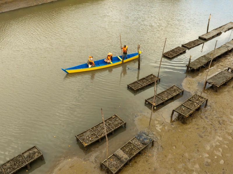 Aventura-Eco-Brasil-05
