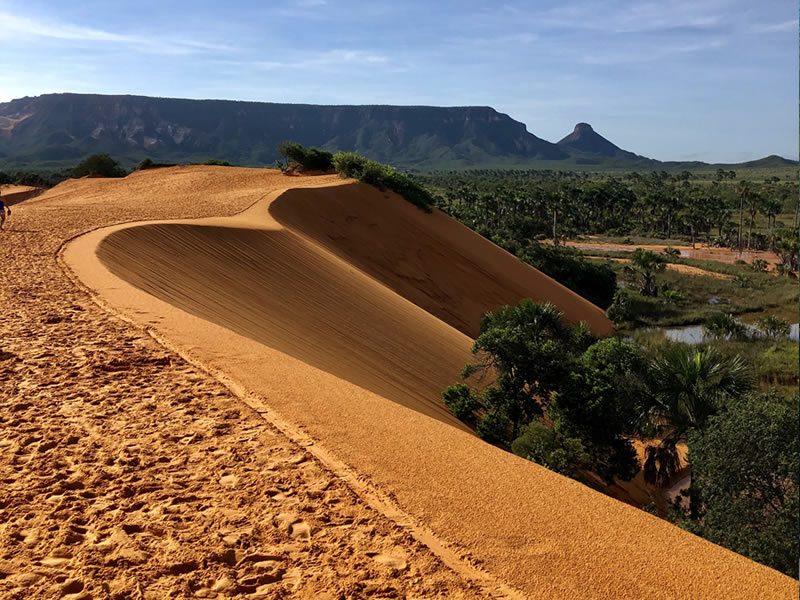 Cerrado Rupestre