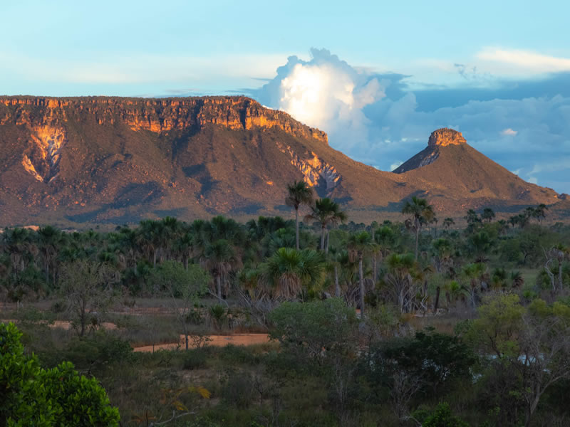 Cerrado Rupestre