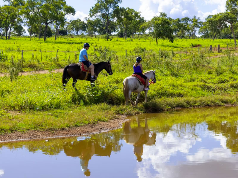 Estância Mimosa