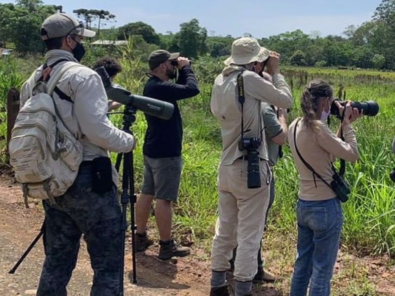 Iguazu Explorer