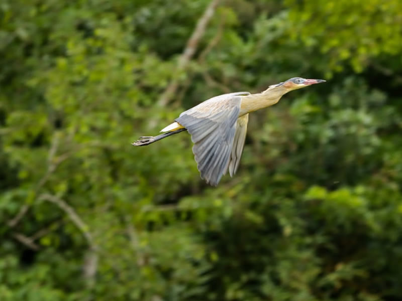 Mantiqueira Ecoturismo