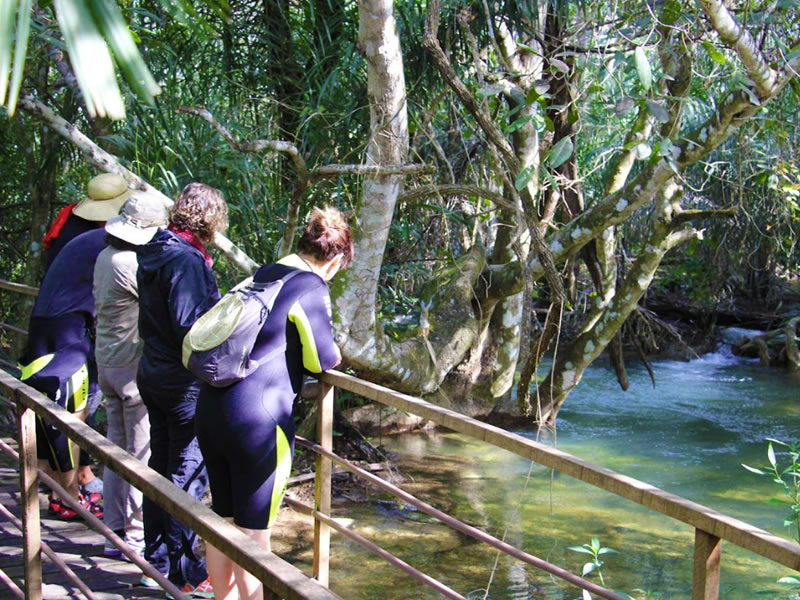 Parque Ecológico Rio Formoso