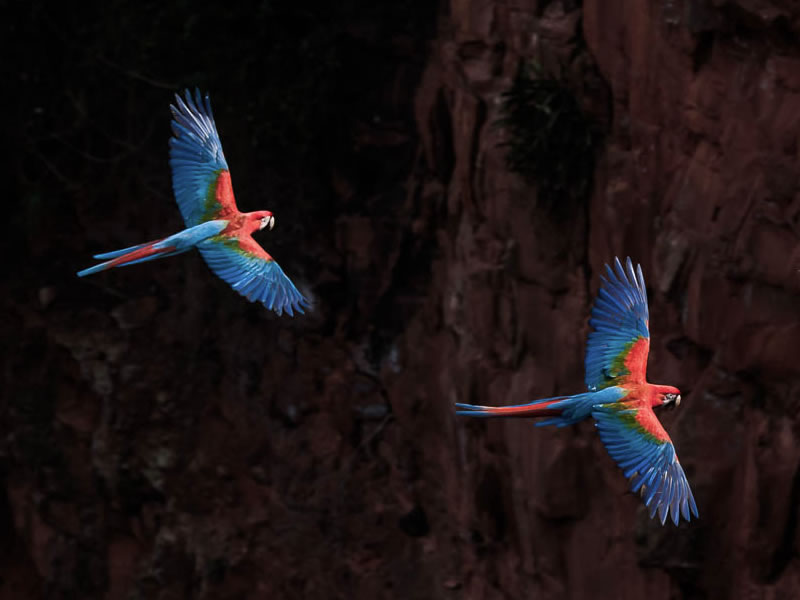 Foto Giuliano Bernardon