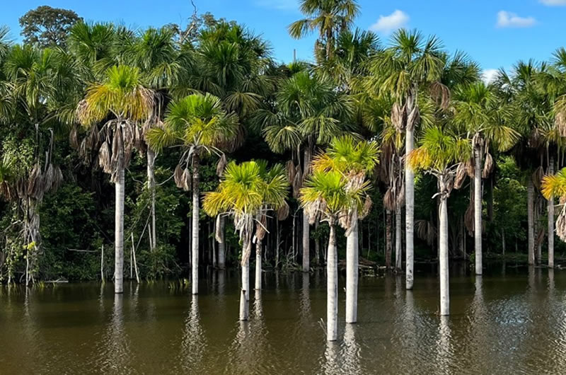 fazenda-anaca-22