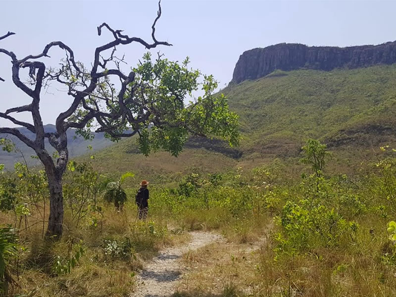 fronteiras-da-chapada10