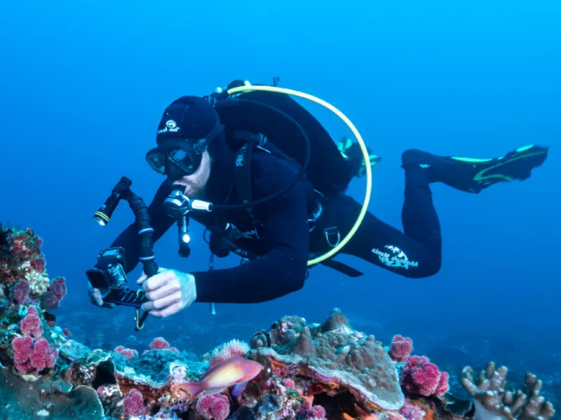 Dive RAID Brasil