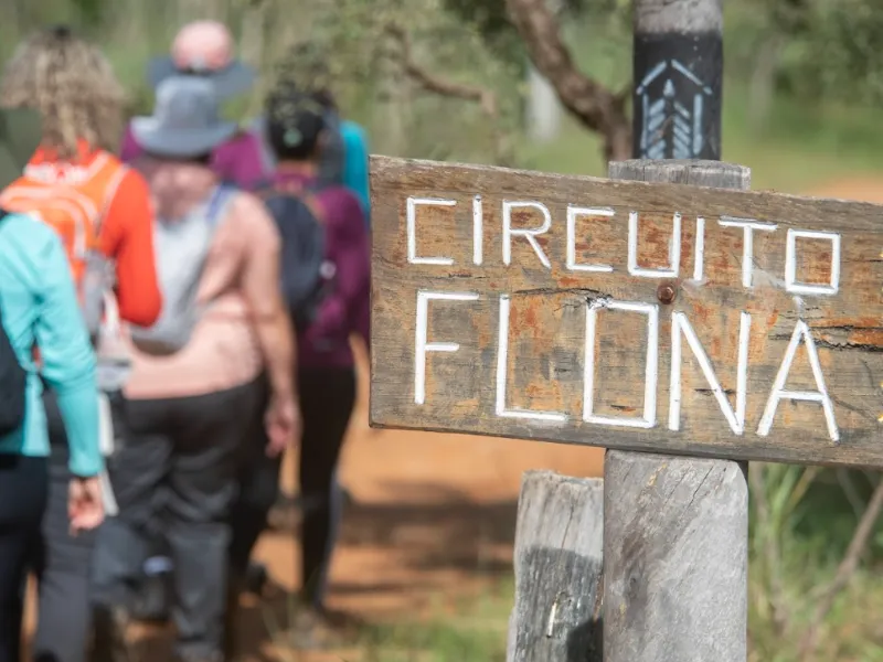 trilheiras-de-brasilia-01