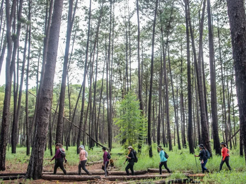 trilheiras-de-brasilia-07