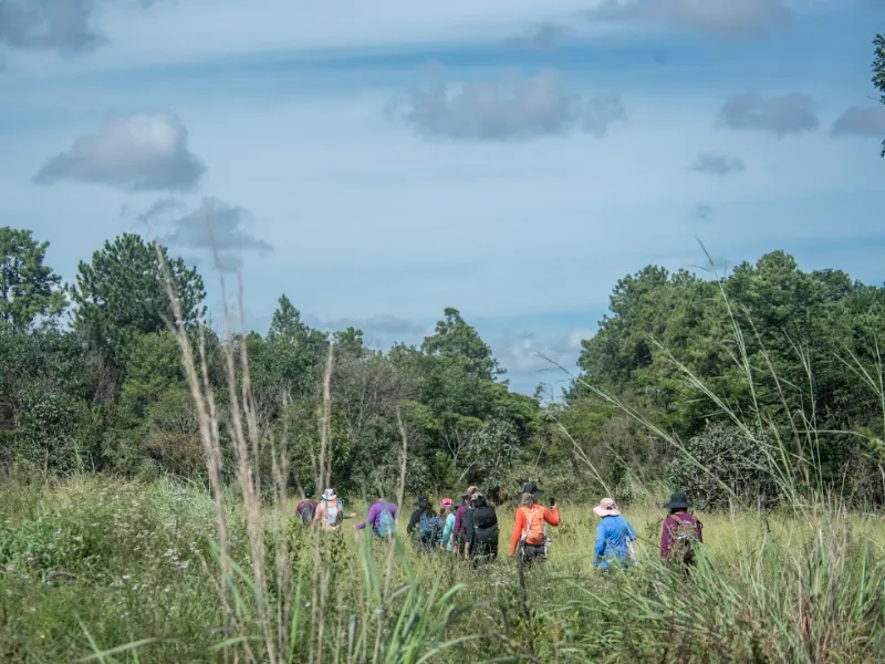 trilheiras-de-brasilia-10