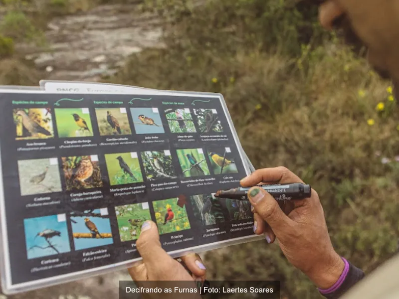 Refúgio das Curucacas