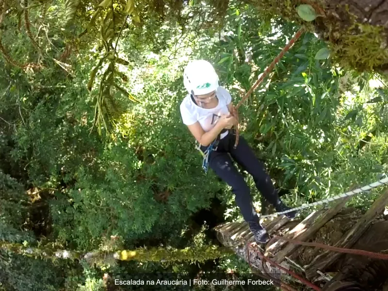 Refúgio das Curucacas