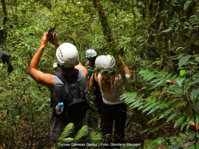 Refúgio das Curucacas