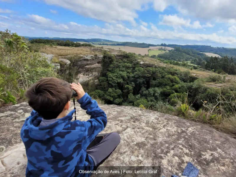 Refúgio das Curucacas