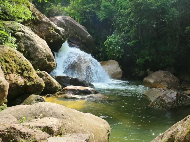 Curso gratuito da Abeta