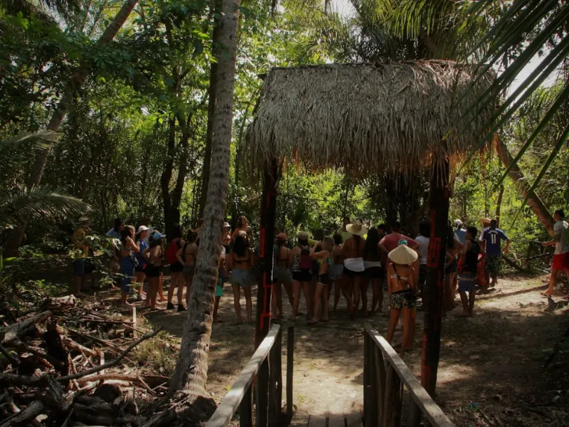 Fazenda São Jerônimo - Soure - PA