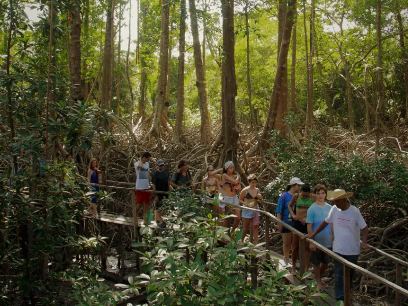 Fazenda São Jerônimo - Soure - PA
