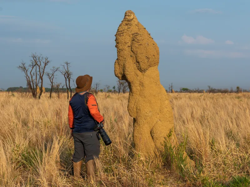 trilhas-do-cerrado-5