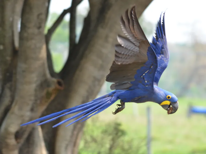 Eco Adventures Travel