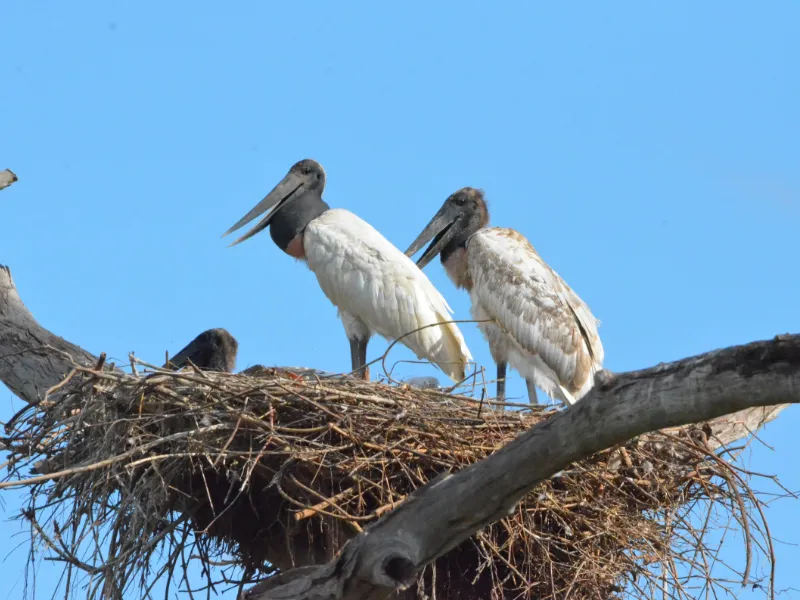 Eco Adventures Travel