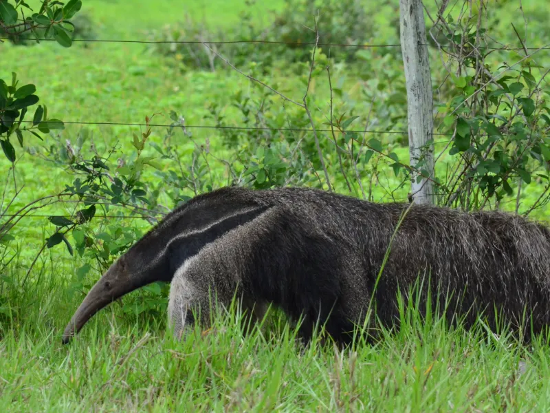 Eco Adventures Travel